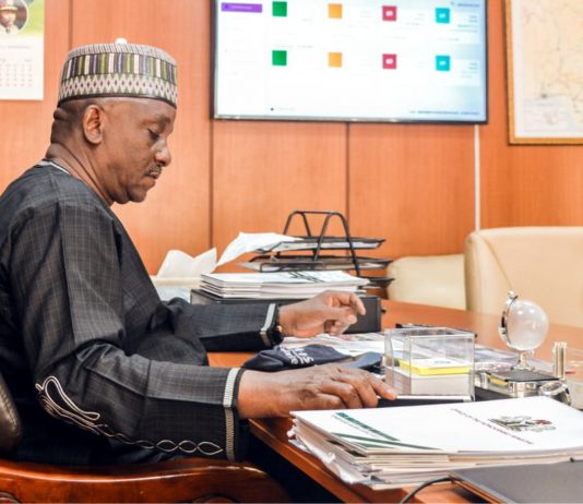 THE MAMBILLA HYDRO POWER PROJECT PUZZLE