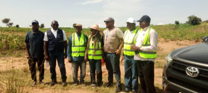 IMG_20250929_141534_655