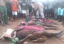 19 IDPs killed,8 injured,20 others missing as armed militias attack Taraba community